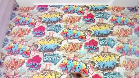 Krys online show from November 27, 1:13 am