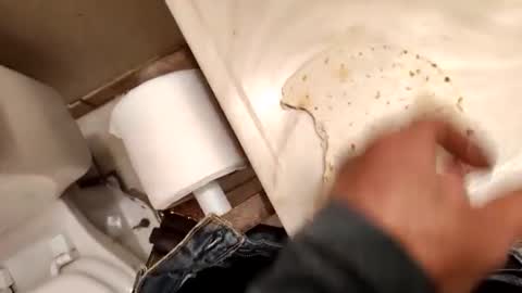 kumnnkevsuks4 online show from January 16, 8:14 pm