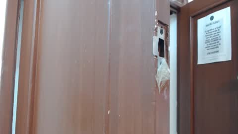 Melissa online show from November 12, 10:50 am