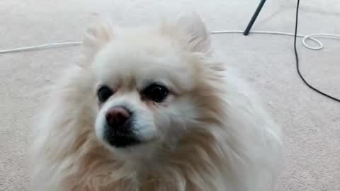 Lacey Phoenix online show from March 4, 3:11 am