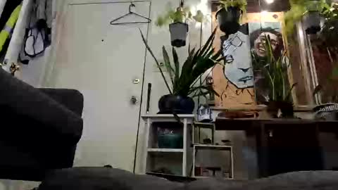 lacybell online show from February 19, 7:28 am