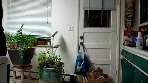 lacybell online show from February 15, 5:19 am