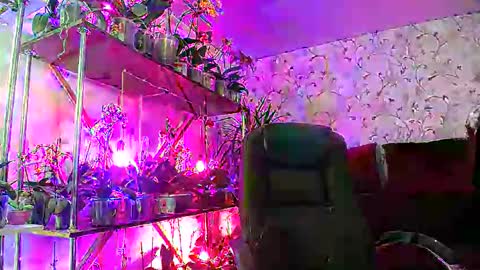 Snapshot of lady_gloria chatting on February 22, 8:40 am Lady Gloria online show from February 22, 8:40 am