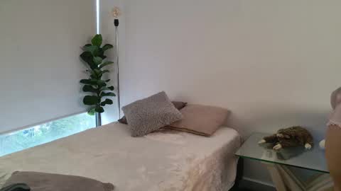    700  1300 -5 online show from December 22, 12:56 pm