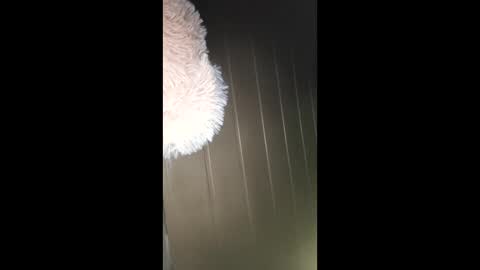 ladylustly online show from March 22, 2:04 am