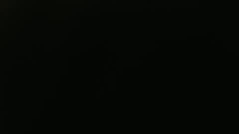 ANNIE online show from April 4, 3:46 am