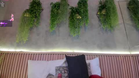 lana_lann online show from February 14, 2:54 pm