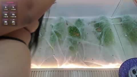 lana_lann online show from October 30, 2:39 pm