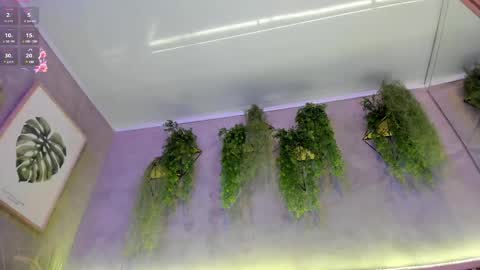 lana_lann online show from February 27, 1:38 pm