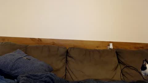 Lance online show from March 5, 12:30 am