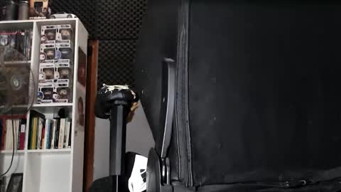 Snapshot of lapijaarg chatting on October 13, 11:29 pm LapijARG online show from October 13, 11:29 pm