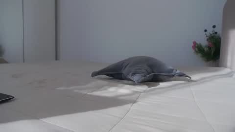 LaraKanes online show from January 19, 9:19 am