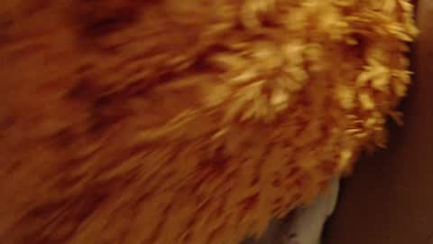 laralhotr online show from December 26, 10:09 pm