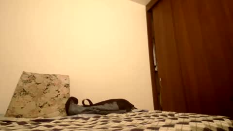 Snapshot of latinndexter chatting on October 18, 11:53 pm DEXTER online show from October 18, 11:53 pm