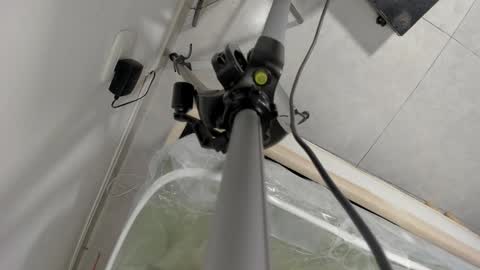 Laurem online show from February 16, 6:39 pm