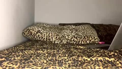 Laycee Layne online show from September 18, 4:16 am