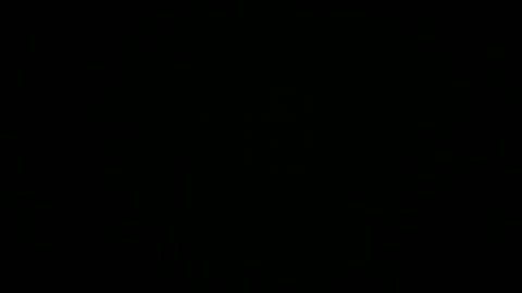 Snapshot of lechiffre1205 chatting on September 30, 4:56 am Michel online show from September 30, 4:56 am