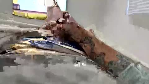 legal4 online show from January 18, 12:58 pm