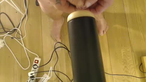 Horny for pvt online show from December 4, 5:18 am