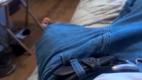 letslookateach online show from December 22, 5:14 am