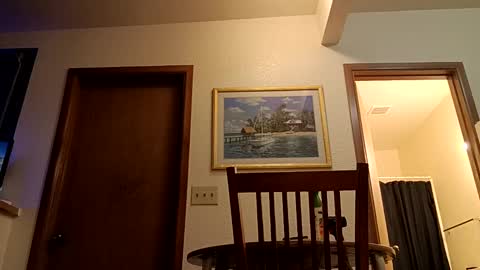 letsplay361 online show from March 4, 2:27 am