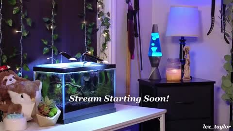 Lex online show from January 7, 3:46 am