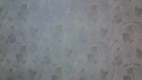 li_me online show from December 3, 9:26 pm