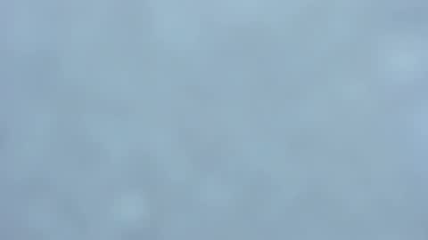 Snapshot of lia_izumy chatting on February 1, 3:52 am . online show from February 1, 3:52 am