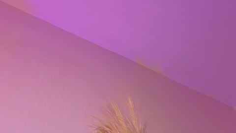 Liiam Luna online show from April 21, 11:06 am