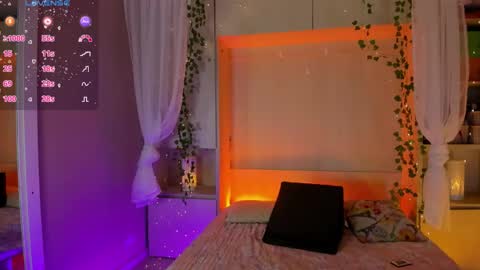         online show from February 3, 11:47 am