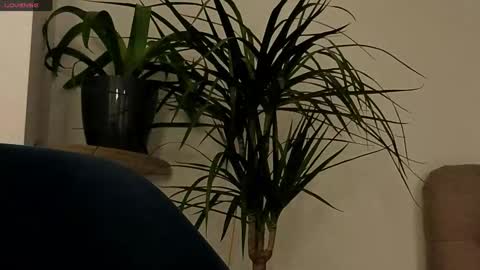 Snapshot of likavibe chatting on September 24, 6:14 pm likavibe online show from September 24, 6:14 pm