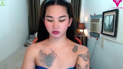 LILY online show from November 13, 10:40 am