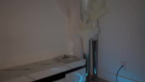 Snapshot of lilbeccaxo chatting on October 8, 5:30 pm Rebecca online show from October 8, 5:30 pm