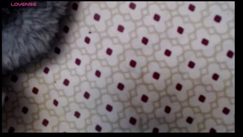 lildragon069 online show from December 7, 9:33 am