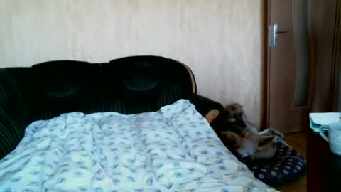 Lenkaa777 online show from April 1, 12:28 pm