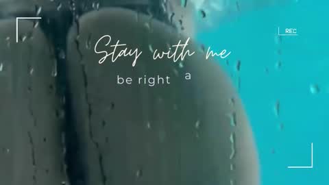 Lily online show from January 16, 7:50 am