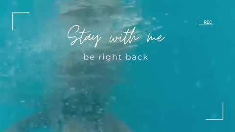 Snapshot of lily_foster_ chatting on September 22, 5:44 am Lily online show from September 22, 5:44 am