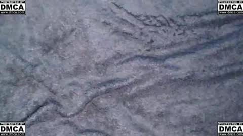 Single online show from October 19, 8:35 pm