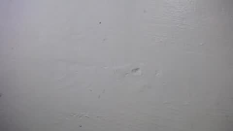 lisa_branch online show from October 4, 10:24 am