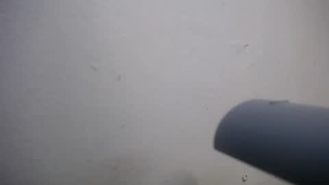 lisa_branch online show from November 4, 7:04 pm