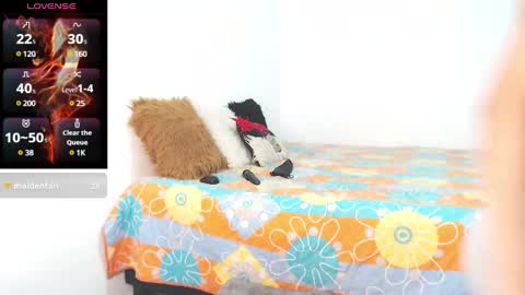 faisury online show from February 18, 4:36 pm