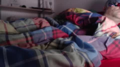 litlediky online show from December 30, 7:26 am