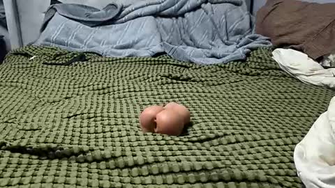 Nacho602 online show from February 23, 11:56 am