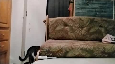 littleleo96 online show from February 15, 7:32 am