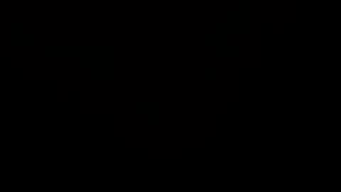 Little Tj online show from February 4, 3:32 am