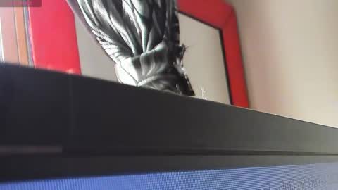 Katalina Novoa. online show from February 1, 7:33 pm