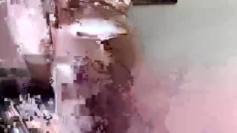 lllortx online show from May 15, 3:41 pm
