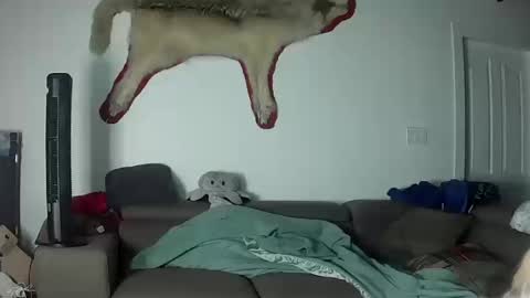 Lola Lixx online show from October 17, 9:57 am