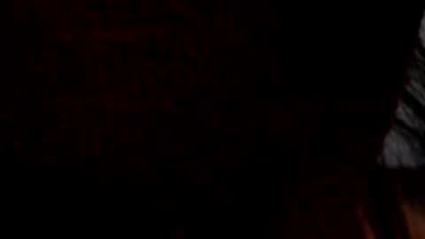   Dorii- chan     twitter lolipopdolly6   Use CB DarkMode online show from October 27, 3:06 am