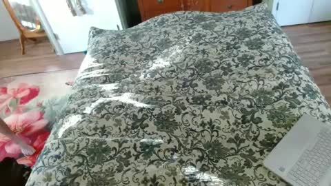 Jeff online show from January 30, 8:21 pm